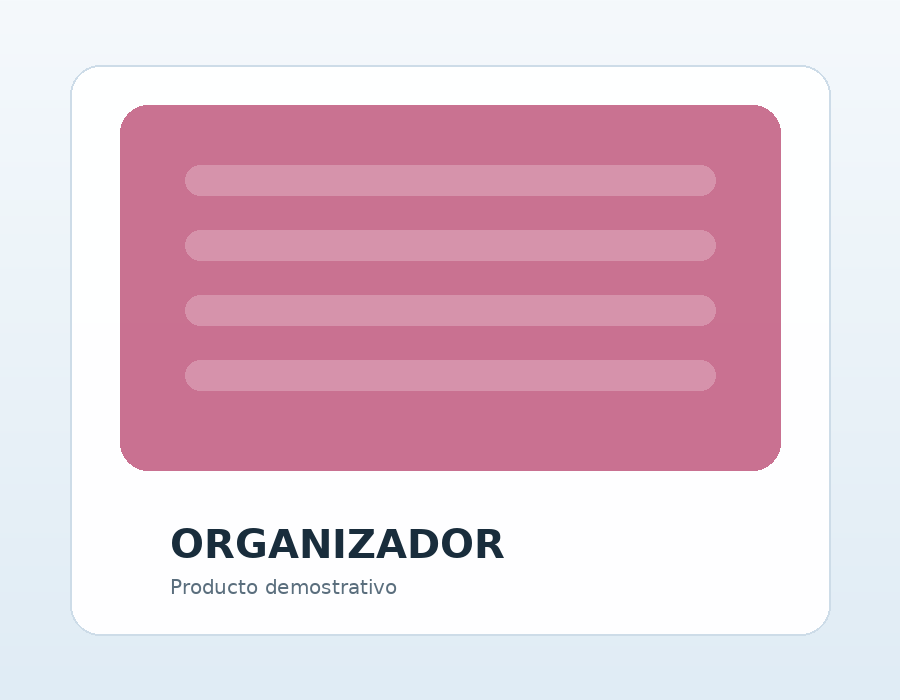 Organizador multipropósito
